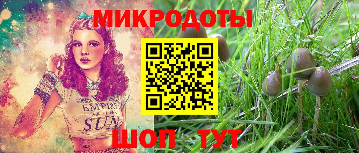 Галлюциногенные грибы GOLDEN TEACHER Кольчугино